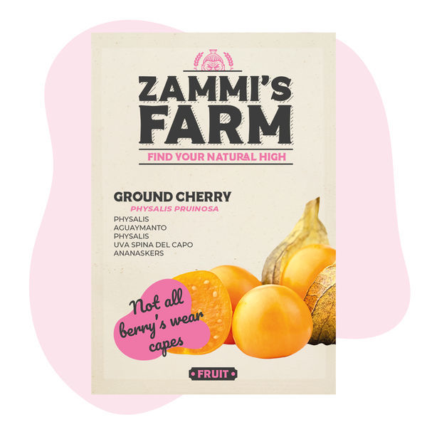 Sementes de Physalis (Physalis peruviana)