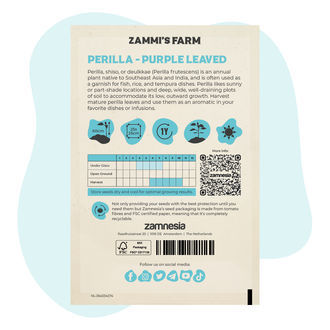 Sementes de Perilla Roxa (Perilla frutescens)