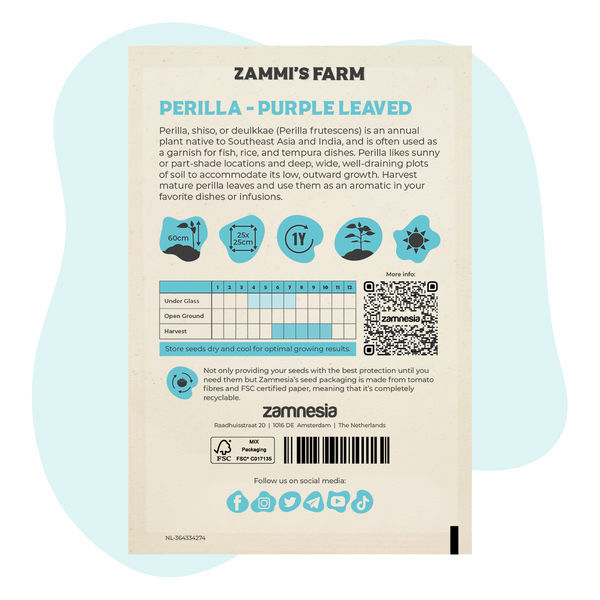 Sementes de Perilla Roxa (Perilla frutescens)