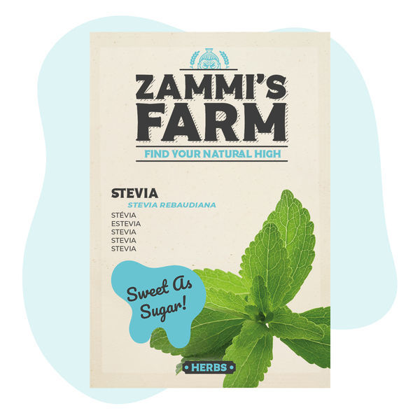 Sementes de stevia (Stevia rebaudiana)