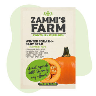 Winter Squash Baby Bear (Cucurbita maxima) – Sementes