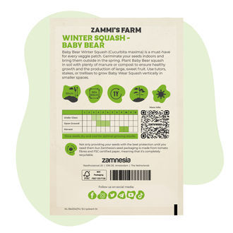 Winter Squash Baby Bear (Cucurbita maxima) – Sementes