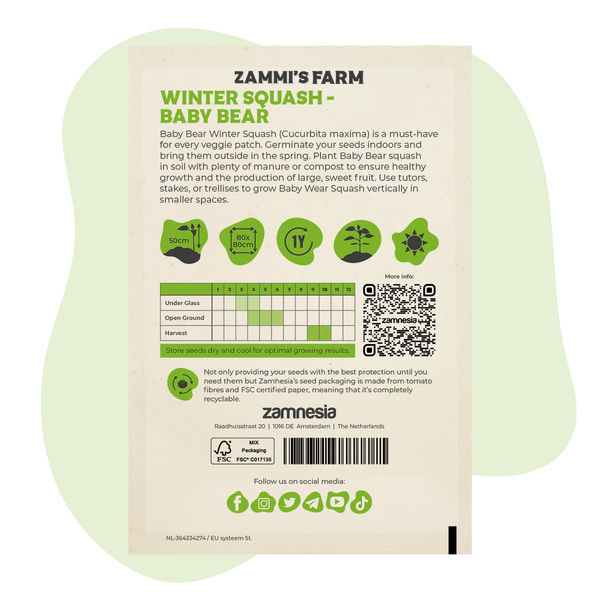 Winter Squash Baby Bear (Cucurbita maxima) – Sementes