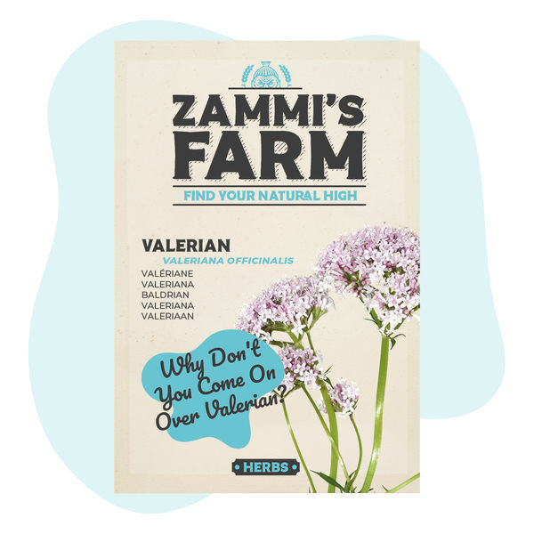 Sementes de valeriana (Valeriana officinalis)