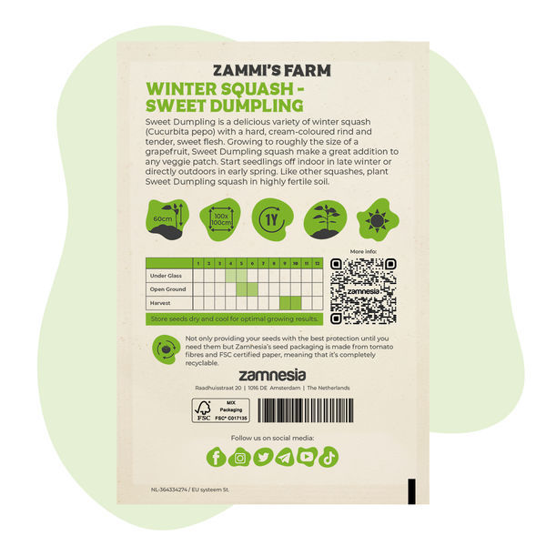 Abóbora de inverno Sweet Dumpling (Cucurbita pepo) – sementes