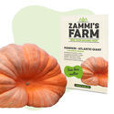 Sementes de abóbora Atlantic Giant (Cucurbita maxima)