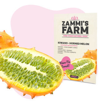 Sementes de kiwano (Cucumis metuliferus)