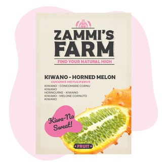 Sementes de kiwano (Cucumis metuliferus)