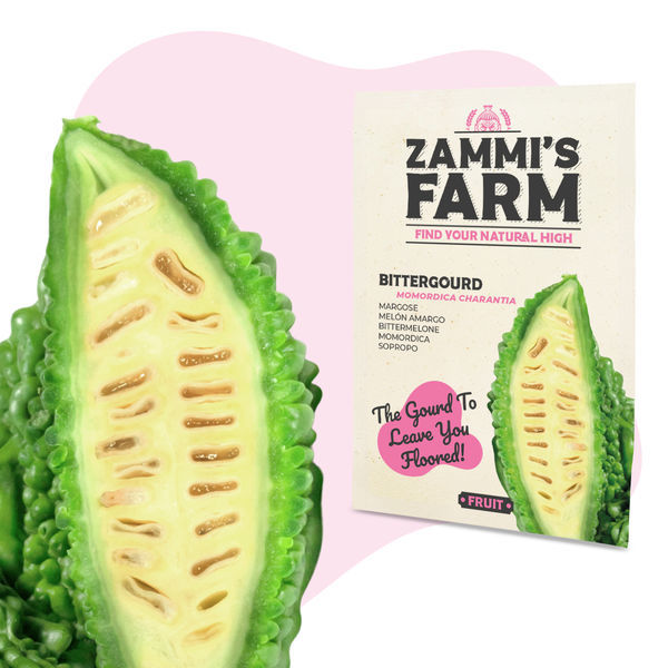 Sementes de melão-amargo (Momordica charantia)