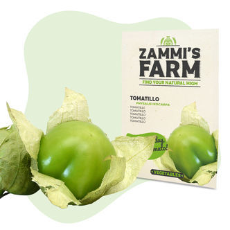 Sementes de tomatillo (Physalis ixocarpa)