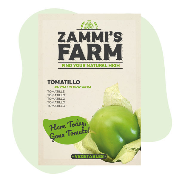 Sementes de tomatillo (Physalis ixocarpa)