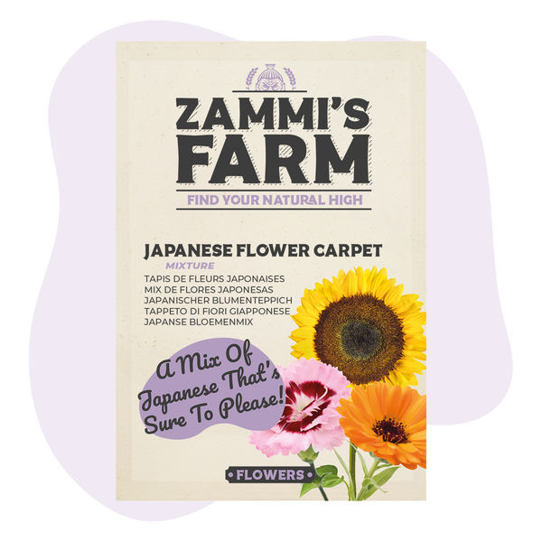 Sementes de tapete floral japonês