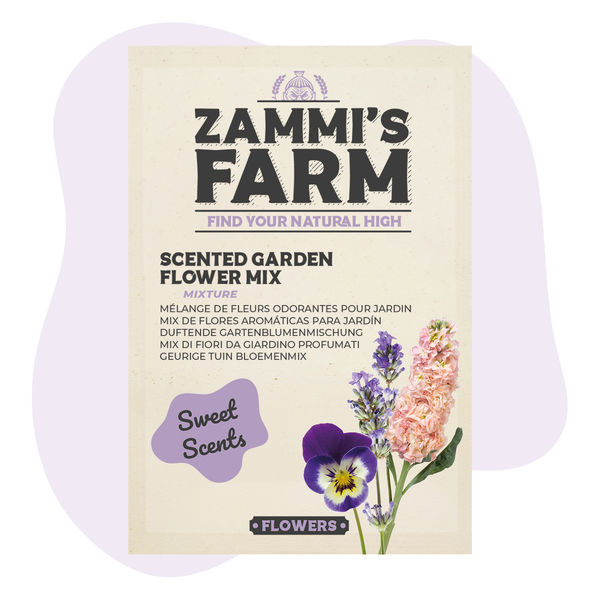 Mistura de flores para jardim aromático