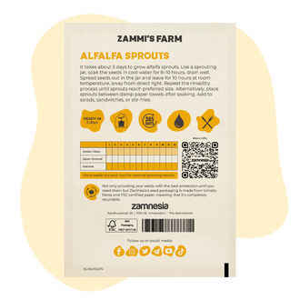 Sementes de rebentos de alfafa (Medicago sativa)