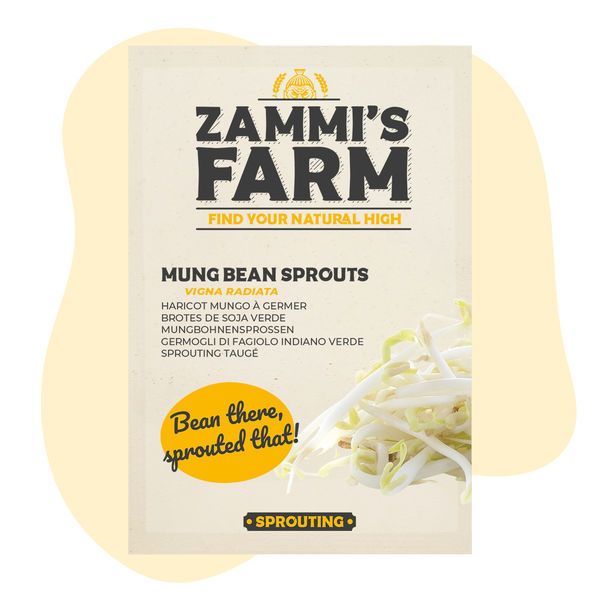 Sementes de rebentos de feijão mungo (Vigna radiata)