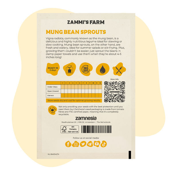 Sementes de rebentos de feijão mungo (Vigna radiata)