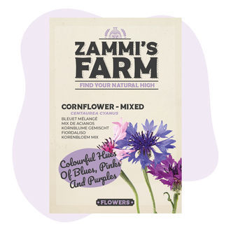 Sementes de centáurea 'Mista' (Centaurea cyanus)