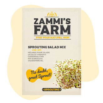 Sementes para mistura de saladas germinadas