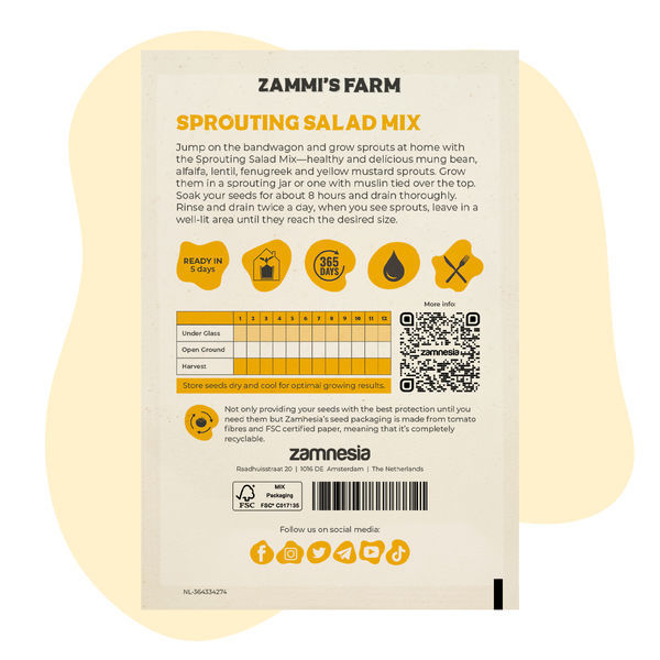 Sementes para mistura de saladas germinadas