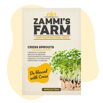 Sementes de brotos de agrião (Lepidium sativum)