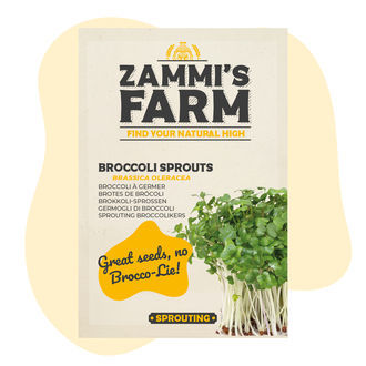 Sementes de brócolos (Brassica oleracea)