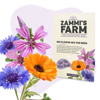 Mistura de sementes de flores orgânicas para abelhas