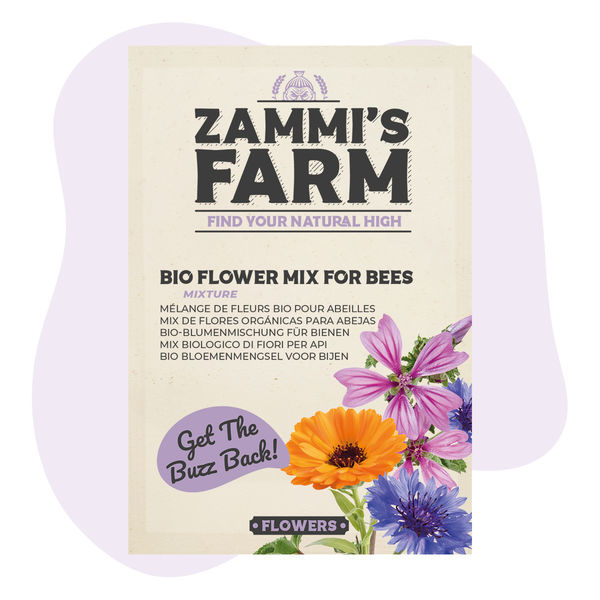 Mistura de sementes de flores para abelhas