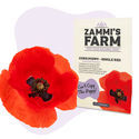 Sementes de papoila 'Single Red' (Papaver rhoeas)