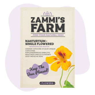 Sementes de capuchinha 'Single Flowered' (Tropaeolum majus)