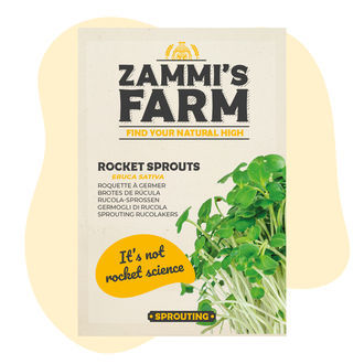 Sementes de rúcula (Eruca sativa)