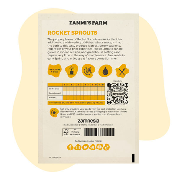 Sementes de rúcula (Eruca sativa)