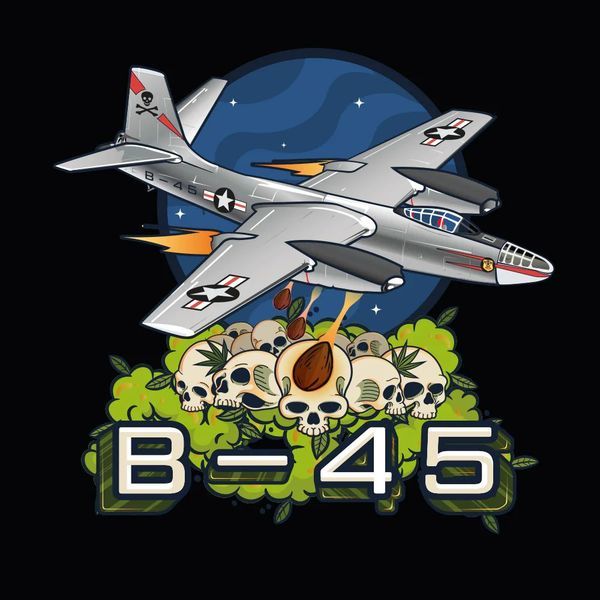 B-45 da Booba (Silent Seeds) feminizada