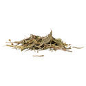 Sinicuichi (Heimia salicifolia) 20 gramas