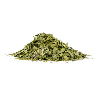 &Aacute;rvore de azevinho (Ilex guayusa) 50 gramas