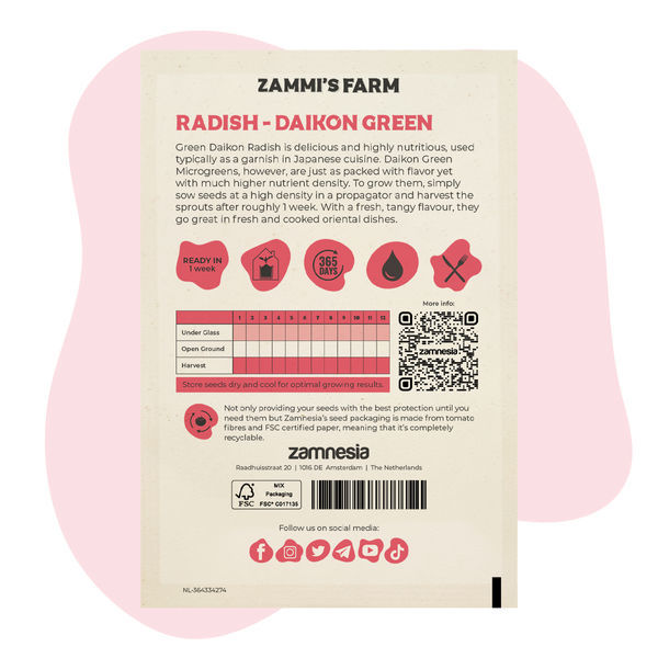 Microverdes de rabanete – sementes Daikon Green (Raphanus sativus)