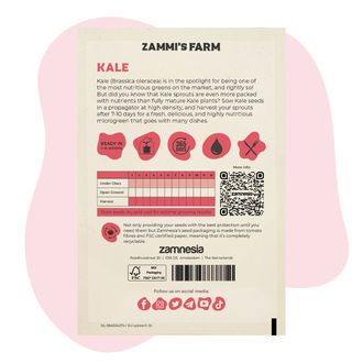 Sementes de microverdes de couve (Brassica oleracea)