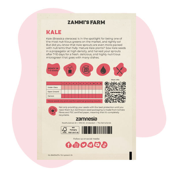 Sementes de microverdes de couve (Brassica oleracea)