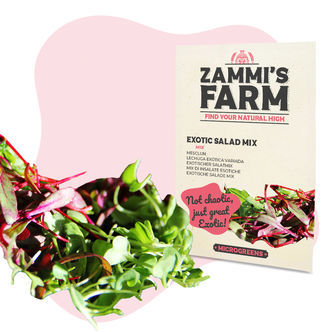 Microgreens Exotic Salad Mix – Sementes