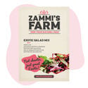 Microgreens Exotic Salad Mix – Sementes