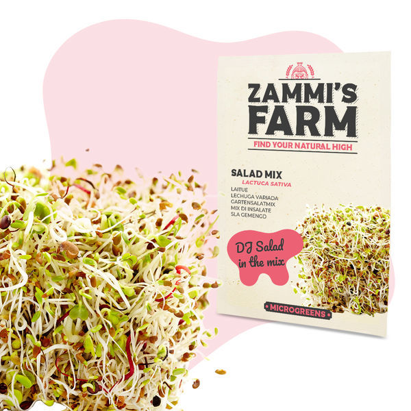 Sementes de mistura de microverdes (Lactuca sativa)