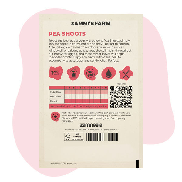 Rebentos de ervilha (Pisum sativum) para microvegetais