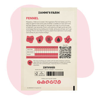 Sementes de funcho para microgreens (Foeniculum vulgare)