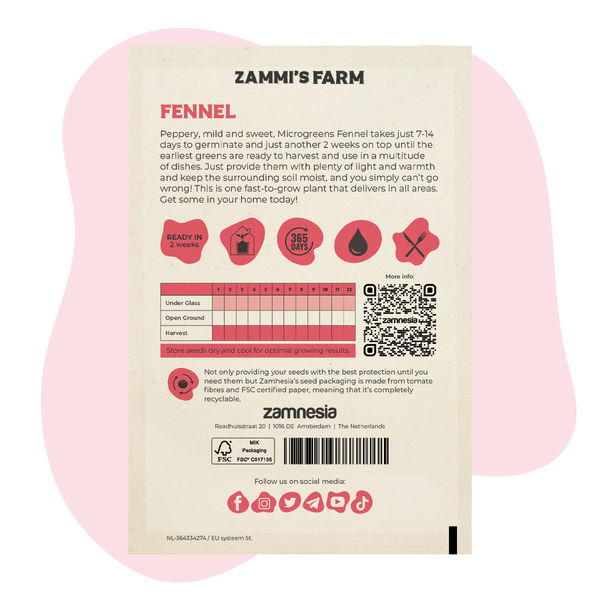Sementes de funcho para microgreens (Foeniculum vulgare)