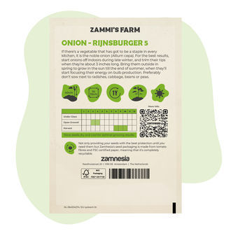 Cebola - Rijnsburger 5 (Allium cepa) Sementes