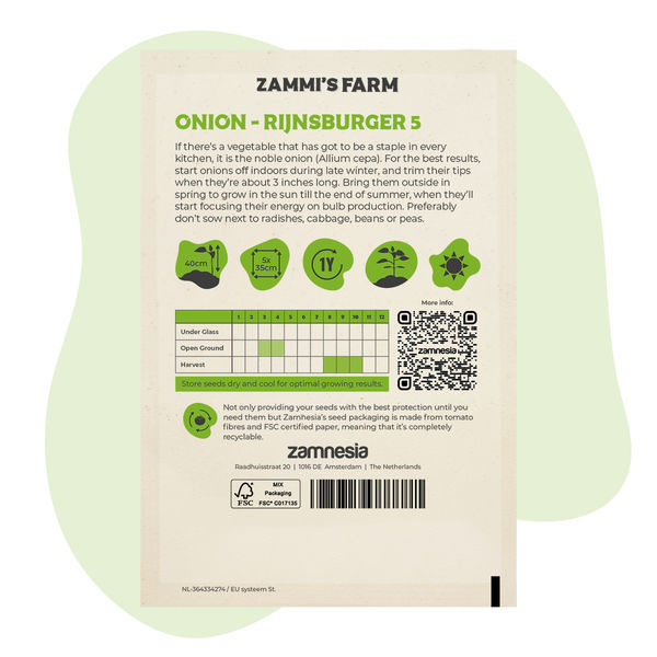 Cebola - Rijnsburger 5 (Allium cepa) Sementes