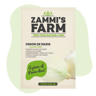 Sementes de cebola de Paris (Allium cepa)