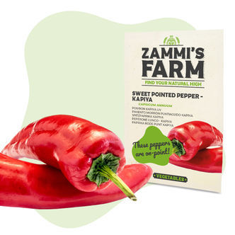 Sementes de pimento doce Kapiya (Capsicum annuum)