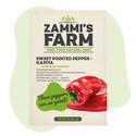 Sementes de pimento doce Kapiya (Capsicum annuum)