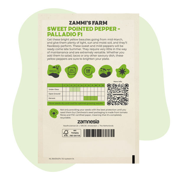 Sementes de pimento doce Pontiagudo Palladio F1 (Capsicum annuum)