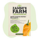 Sementes de pimento doce Pontiagudo Palladio F1 (Capsicum annuum)